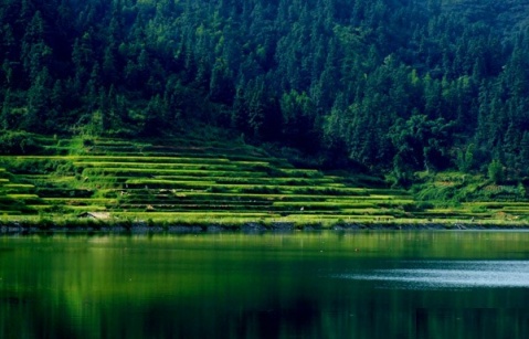 美丽的侗乡通道 - ainyor1868 - ainyor1868的博客 美丽的侗乡通道 - ainyor1868 - ainyor1868的博客