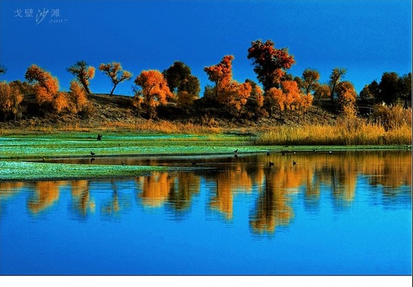 中国最美的100个地方 - 乐园 - 高山流水 中国最美的100个地方 - 乐园 - 高山流水