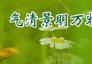 汉族传统节日 清明节_中国网