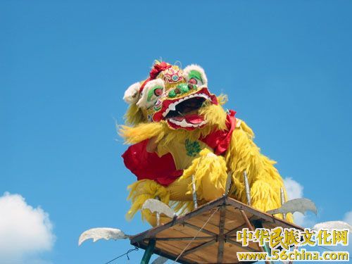 田阳壮族舞狮 田阳壮族舞狮