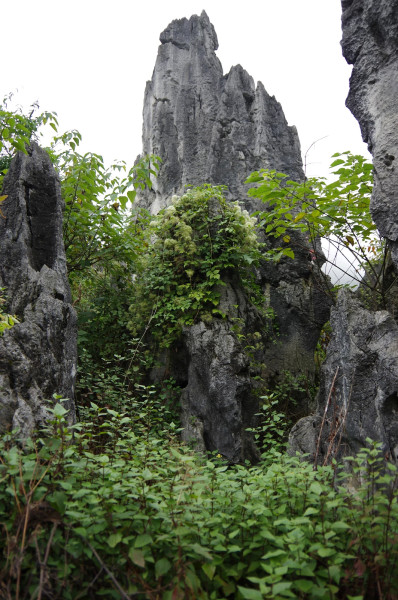 贵州图片 贵州图片