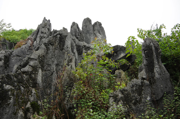 贵州旅游攻略图片 贵州旅游攻略图片