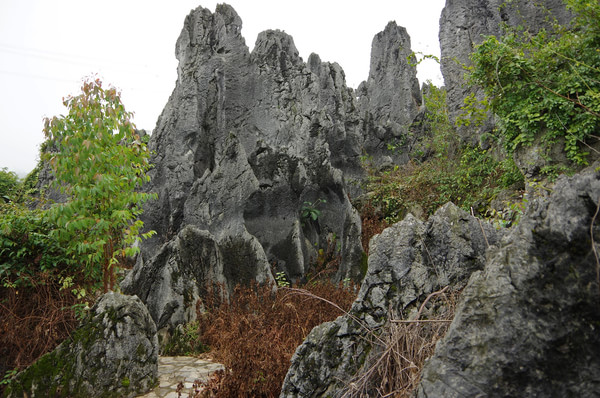 贵州自助游图片 贵州自助游图片