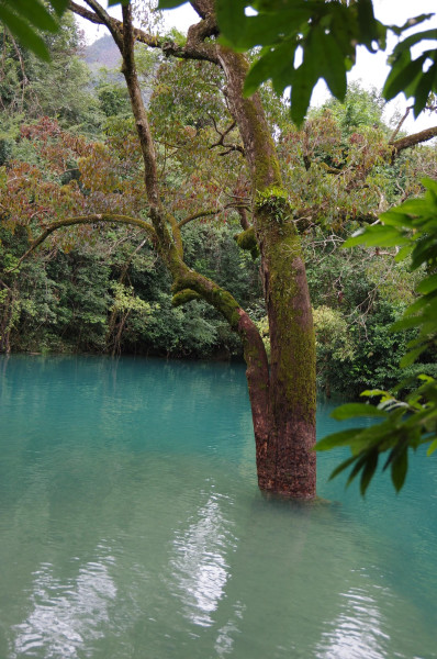 贵州自助游图片 贵州自助游图片