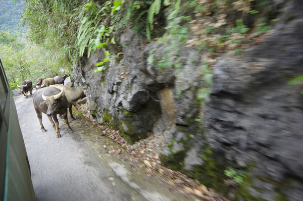 贵州景点图片 贵州景点图片