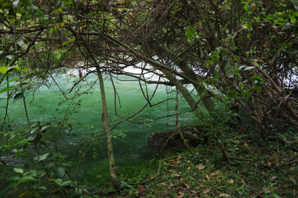 贵州旅游攻略图片 贵州旅游攻略图片