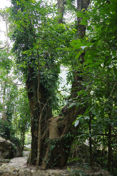 贵州旅游攻略图片 贵州旅游攻略图片