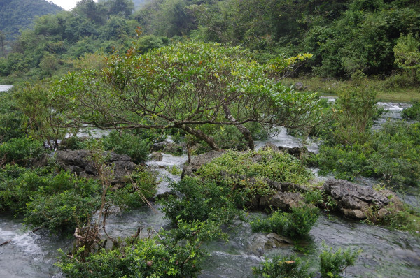 贵州景点图片 贵州景点图片