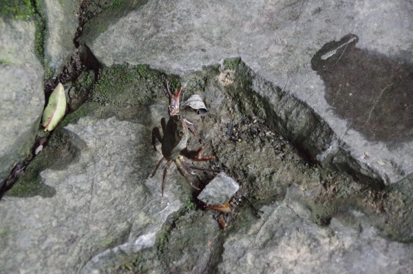 贵州图片 贵州图片