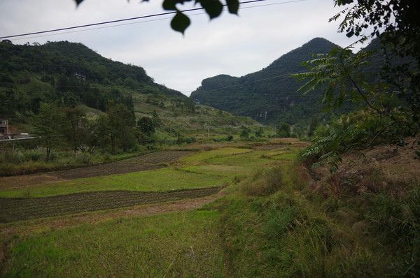 贵州自助游图片 贵州自助游图片