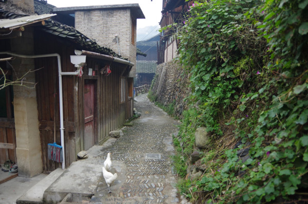 贵州图片 贵州图片