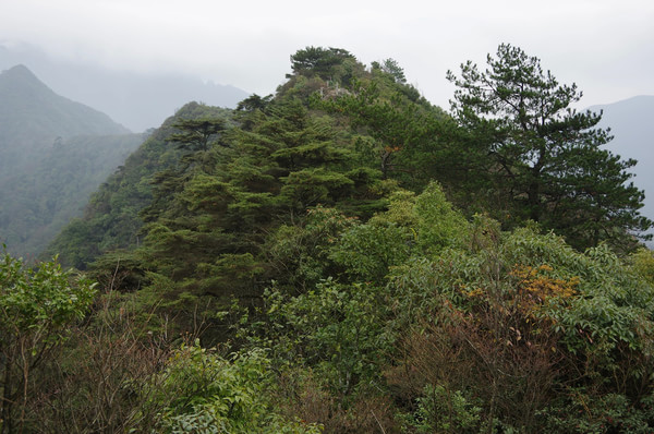 贵州图片 贵州图片