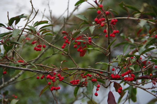 贵州自助游图片 贵州自助游图片