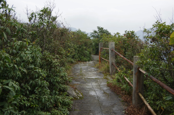 贵州自助游图片 贵州自助游图片