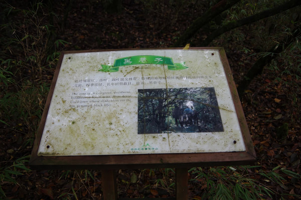 贵州图片 贵州图片