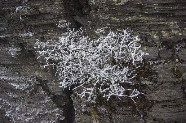 贵州自助游图片 贵州自助游图片