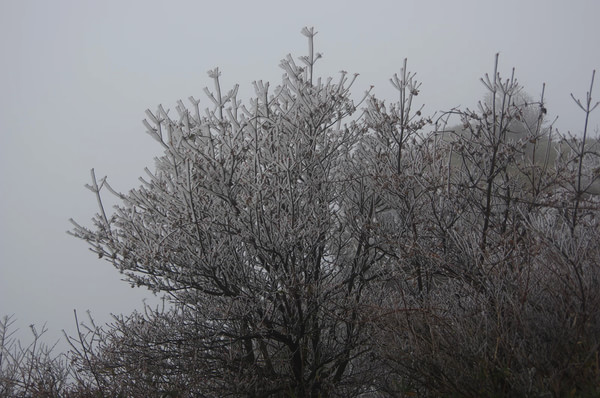 贵州景点图片 贵州景点图片