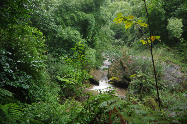 贵州图片 贵州图片