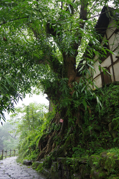 贵州图片 贵州图片