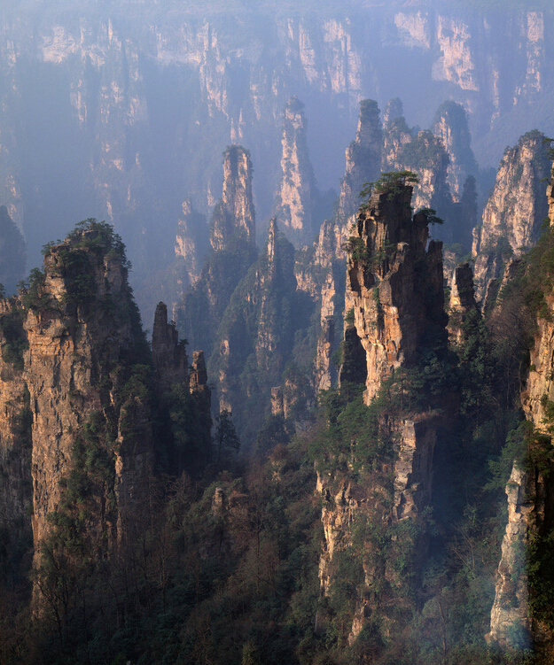 和道家柔弱、退让相对立的刚健、日新的哲学 和道家柔弱、退让相对立的刚健、日新的哲学