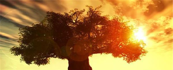 孝是生命的根,爱是生命的本 \