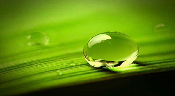 水的智慧:孔子、老子、禅语 \