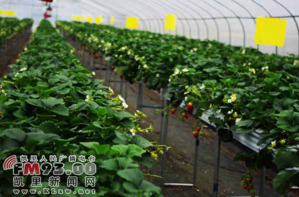 1426466483742212.jpg \