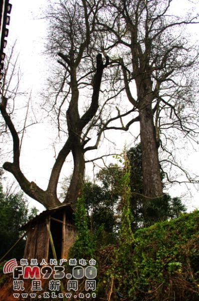 1426466486464226.jpg \