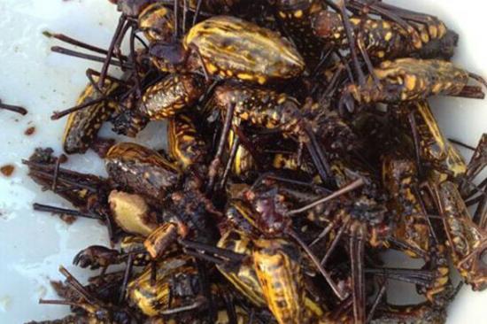 点击图片翻到下一页>> 油炸花蜘蛛