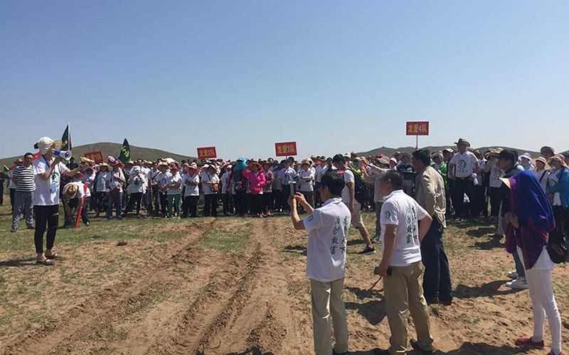 1498706492395708.jpg 1498646691161326.jpg